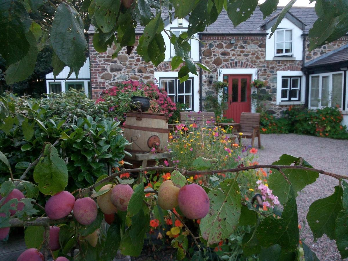 Berwick Hall Cottage 미오이라 외부 사진