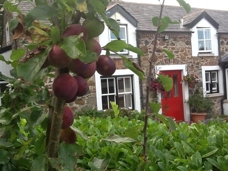 Berwick Hall Cottage 미오이라 객실 사진